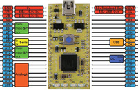 ARM mbed NXP LPC11U24 development board peripherals and pinout.