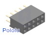 0.100" (2.54 mm) Female Header: 2x5-Pin, Straight